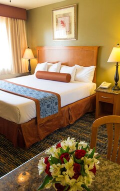Hotel Beachwalker Inn & Suites (Pismo Beach, USA)