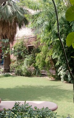 Bed & Breakfast Jungle Lodge (Bharatpur, Indien)