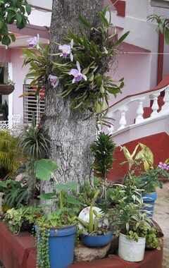 Hotel La Campiña (Remedios, Cuba)