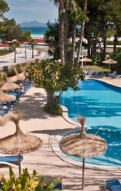 Hotelli allsun Hotel Orquidea Playa (Puerto de Alcudia, Espanja)