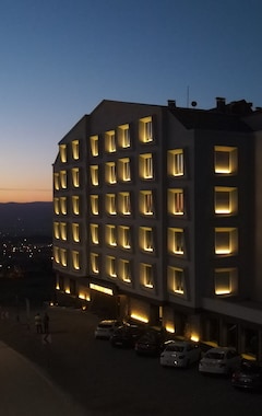 The Erzurum Hotel (Erzurum, Turquía)