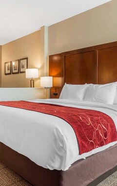 Hotel Comfort Suites (La Vista, USA)