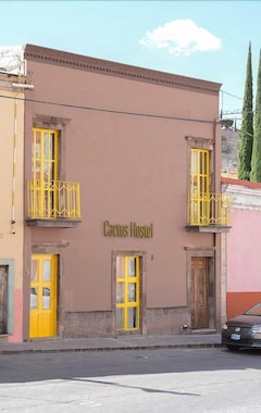 Hotelli Cactus (Leon, Meksiko)
