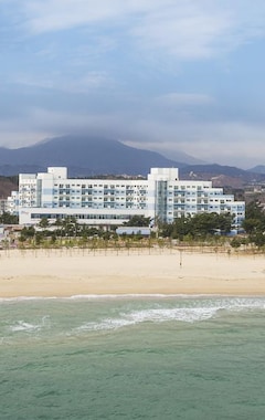 Ocean 2 You Resort Seorak Beach Hotel & Condo (Goseong, Corea del Sur)