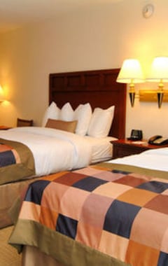 Holiday Inn Express & Suites Bradenton East-Lakewood Ranch, An Ihg Hotel (Bradenton, EE. UU.)