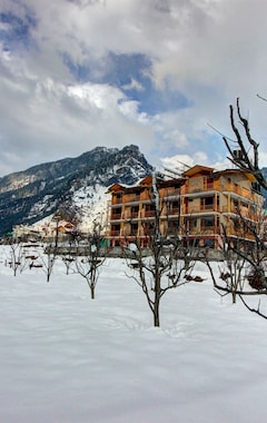Hotel Mountain Face by Snow City Hotels (Manali, India)