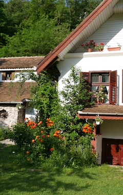 Majatalo IEDERA Casa de Familii 2 (Sebeş, Romania)