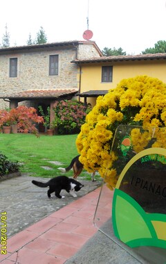 Casa rural Agriturismo I Pianacci (Uzzano, Italia)