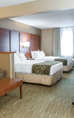 Hotel Comfort Suites North Elkhart (Elkhart, EE. UU.)