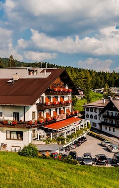 Hotel Habhof Garni - Mösern (Seefeld, Østrig)