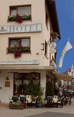 Hotel Gasthof Hausmann (Schlüchtern, Alemania)
