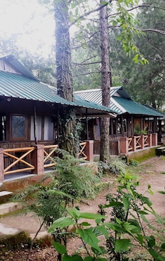 Hotel Park Woods Shoghi (Shimla, India)