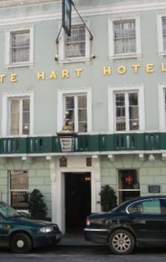 Hotel The White Hart (Lewes, Storbritannien)