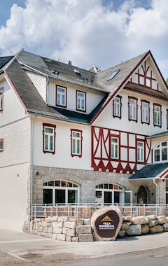 Hotel Villa Bodeblick (Schierke, Tyskland)