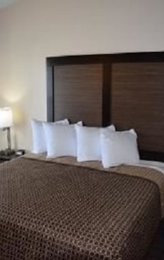 Hotel Hawthorn Suites By Wyndham Columbia (Columbia, USA)