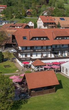 Hotel Zum fröhlichen Landmann (Steinen Kr. Lörrach, Tyskland)