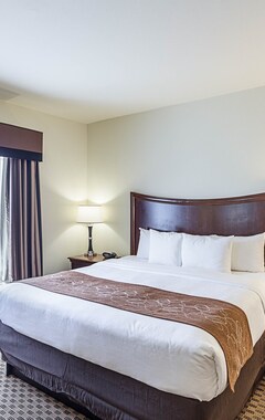 Hotel Comfort Suites San Antonio North - Stone Oak (San Antonio, USA)