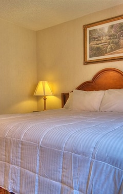 Hotel MCM Elegante Suites Abilene (Abilene, USA)