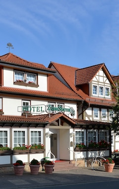 Hotelli Parkhotel Zum Stern (Oberaula, Saksa)