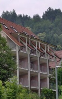 Hotelli Krummholz Stub (Nordrach, Saksa)
