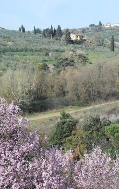 Koko talo/asunto Gli Oleandri di Belfiore (Lastra a Signa, Italia)