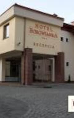Hotelli Hotel Borowianka (Ostrów Wielkopolski, Puola)