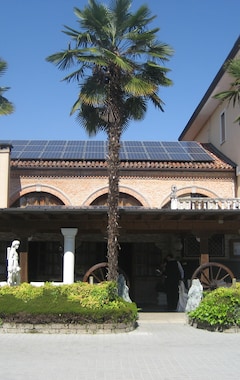 Hotel Al Leone (Villa del Conte, Italia)