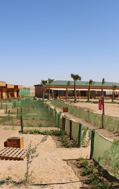 Hotel Dakhla camp (Dakhla, Marruecos)