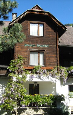 Hotelli Brunner (Radenthein, Itävalta)