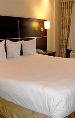 Hotelli Woodbine Hotel & Suites (Toronto, Kanada)
