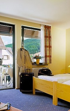 Hotel Landgasthof Ochsen (Seelbach, Tyskland)