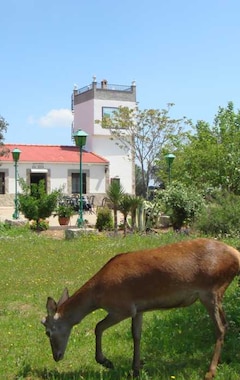 Casa rural San José y Romero (Andújar, España)