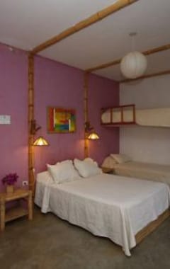 Hotelli Bamboo Lodge (Zorritos, Peru)