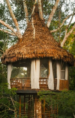 Hotel Tree House Lodge (Puerto Viejo de Talamanca, Costa Rica)