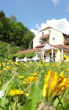 Hotel Familiengasthof Maier (Mautern, Austria)