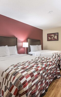 Hotel Red Roof Inn Indianapolis - Castleton (Indianápolis, EE. UU.)