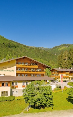 Hotelli Wieseneck (Flachau, Itävalta)