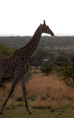 Casa/apartamento entero Mabula Private Game Reserve (Bela Bela, Sudáfrica)