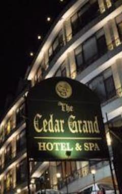 Hotel The Cedar Grand & Spa (Shimla, Indien)