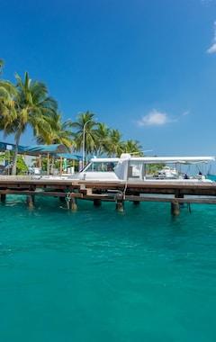 Hotelli Triton Prestige Seaview And Spa (Maafushi, Malediivit)