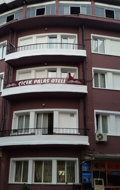 Hotelli Cicek Palas (Izmir, Turkki)