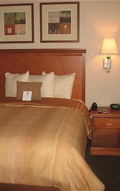 Candlewood Suites Chesapeake-Suffolk, An Ihg Hotel (Chesapeake, USA)