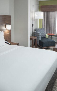 Holiday Inn Express & Suites Orlando At Seaworld, An Ihg Hotel (Orlando, EE. UU.)