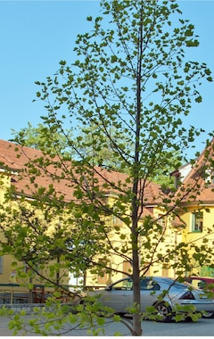 Hotel Pension Himmelreich (Ternitz, Østrig)