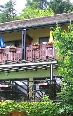 Hotelli Le Freudeneck (Wangenbourg Engenthal, Ranska)