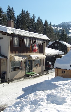Hotelli Vista Resort Hotel (Zweisimmen, Sveitsi)