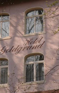 Hotel Goldgrund (Meissen, Tyskland)