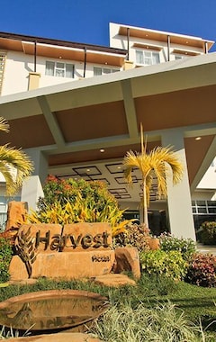 Hotel Harvest (Cabanatuan City, Filipinas)