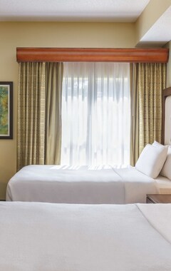 Hotel Homewood Suites By Hilton St. Petersburg Clearwater (Clearwater, EE. UU.)