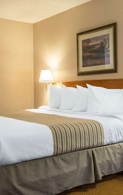 Hotel Econo Lodge Inn & Suites At Fort Moore (Columbus, EE. UU.)